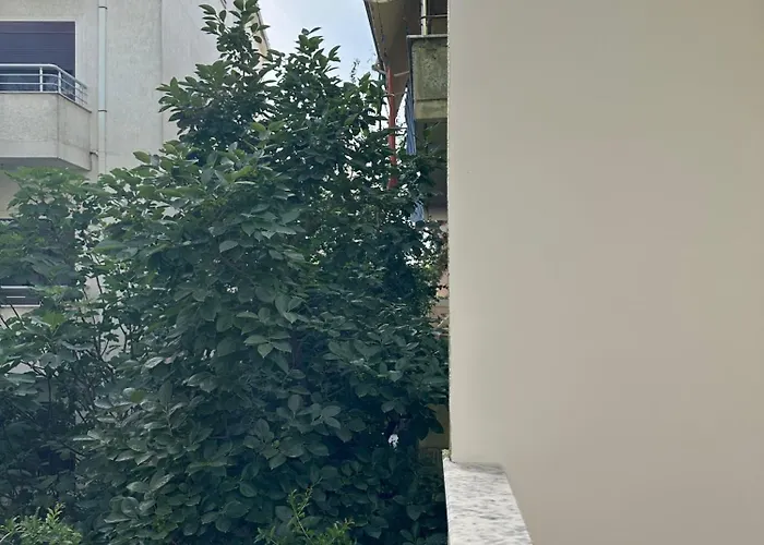 Freya's Couette-café Durrës